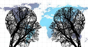 乐鱼体育在线网站-体育新闻中心协同多方建立体育内容风控机制，体育新闻机构