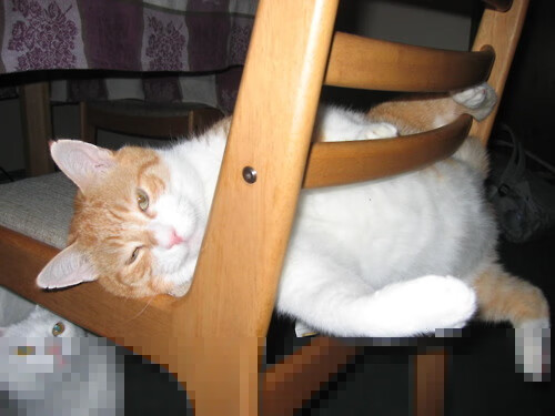 国际热身赛中国青年队惨败 技术分析引反思,2021国际热身赛赛程